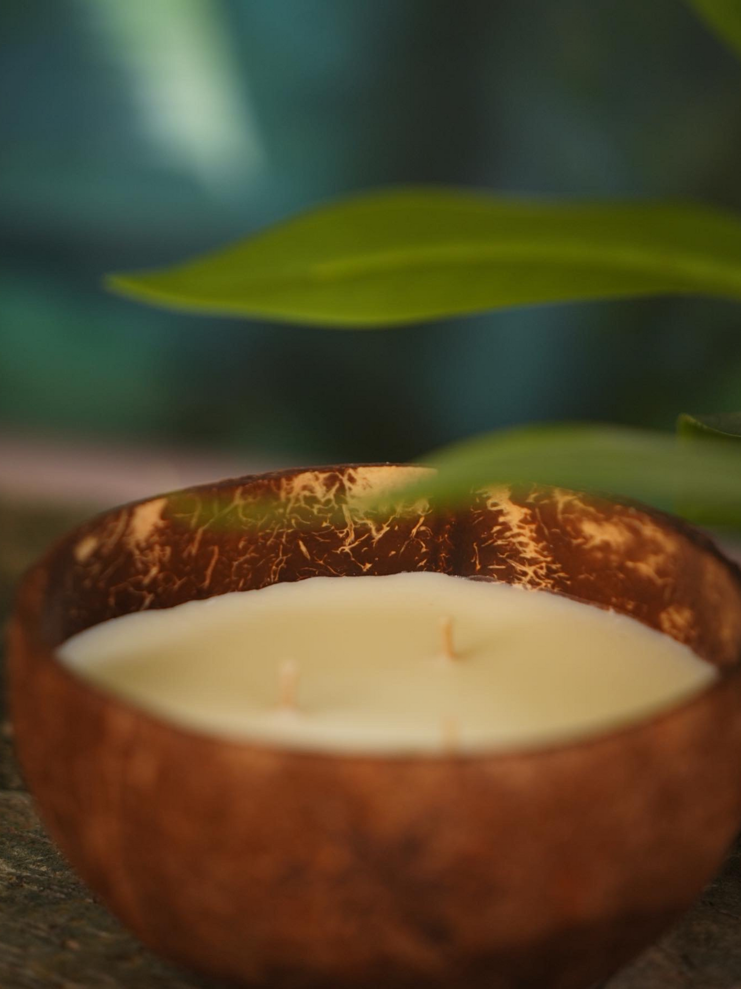 Fragranced Candle in Natural Coconut Shell