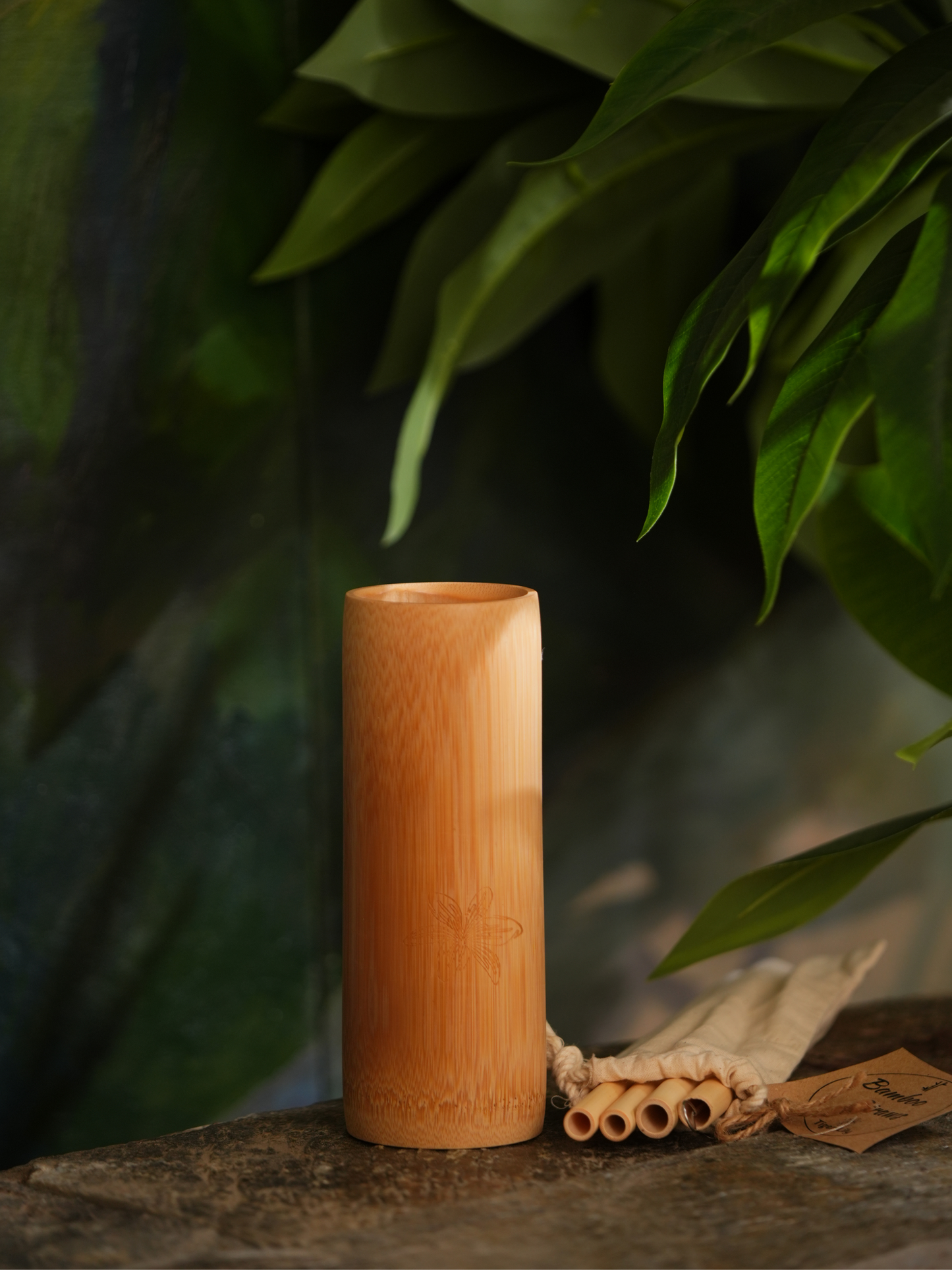 Bamboo Straw Set