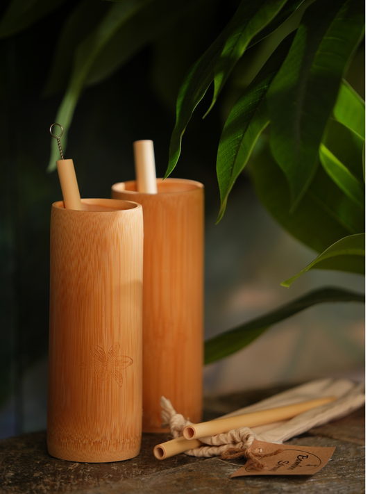 Bamboo Straw Set