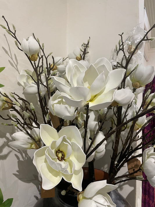 Magnolia Sprays
