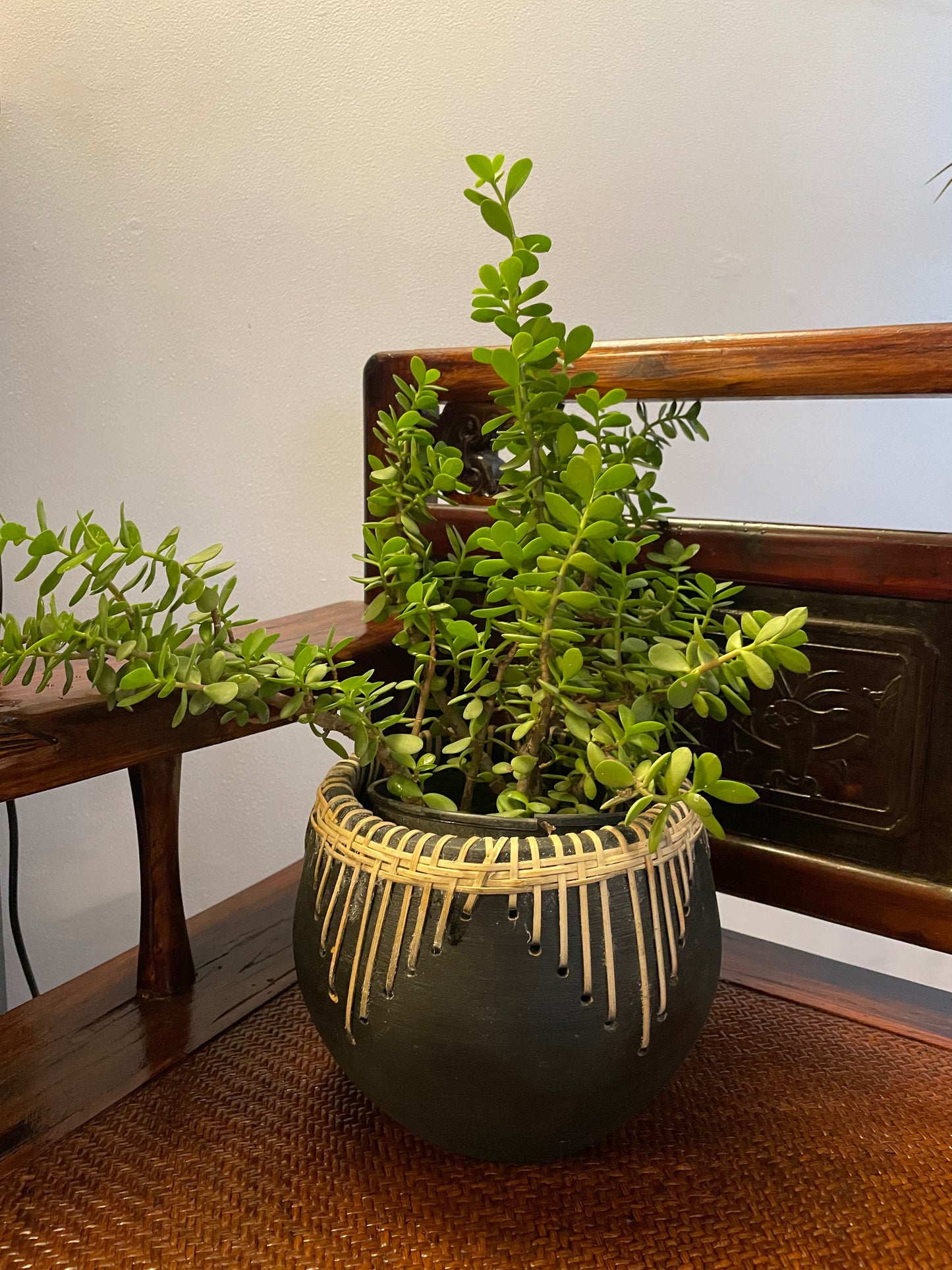 Terracotta & Rattan Weave Planter