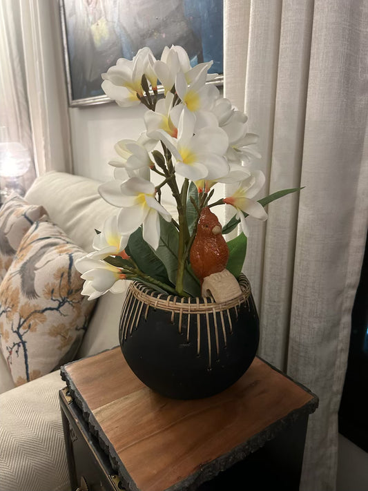 Champa Flowers & Planter Combo