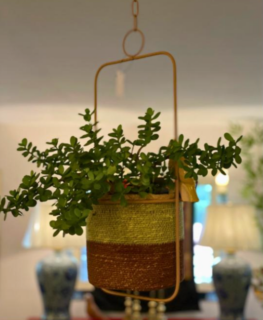 Wicker Hanging Planter