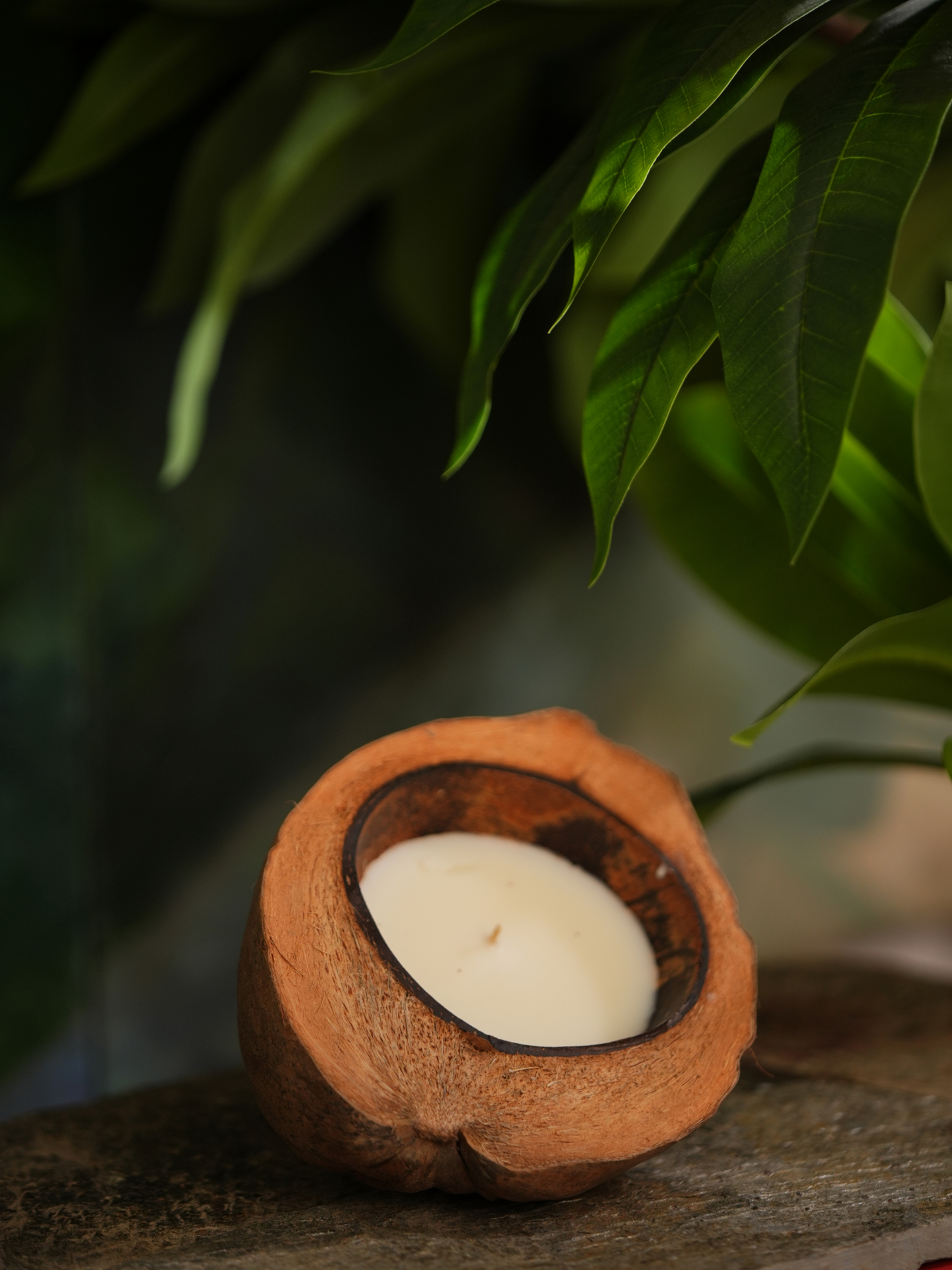 Sundari Coconut Shell Floating Candle