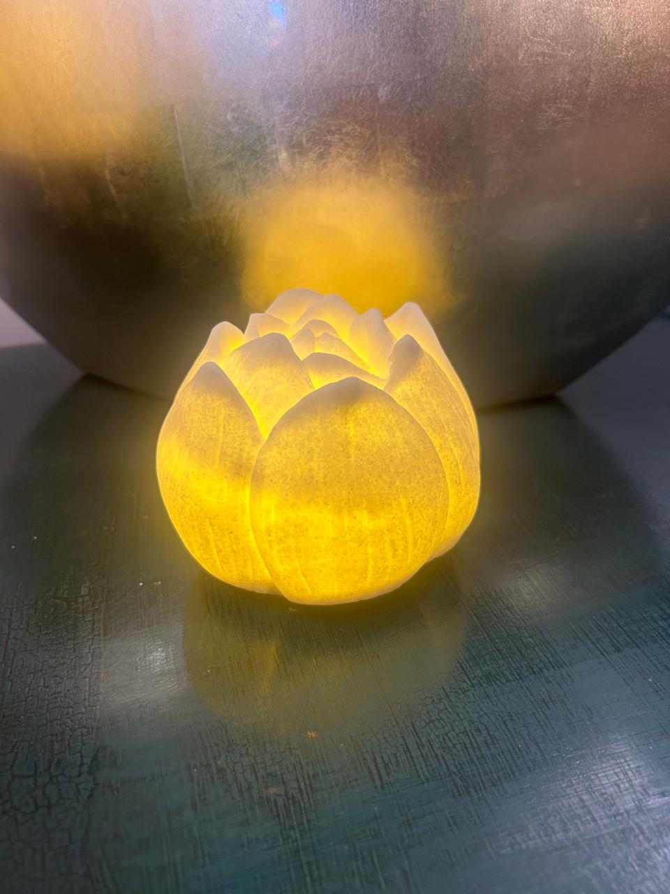 Lotus Battery Lights