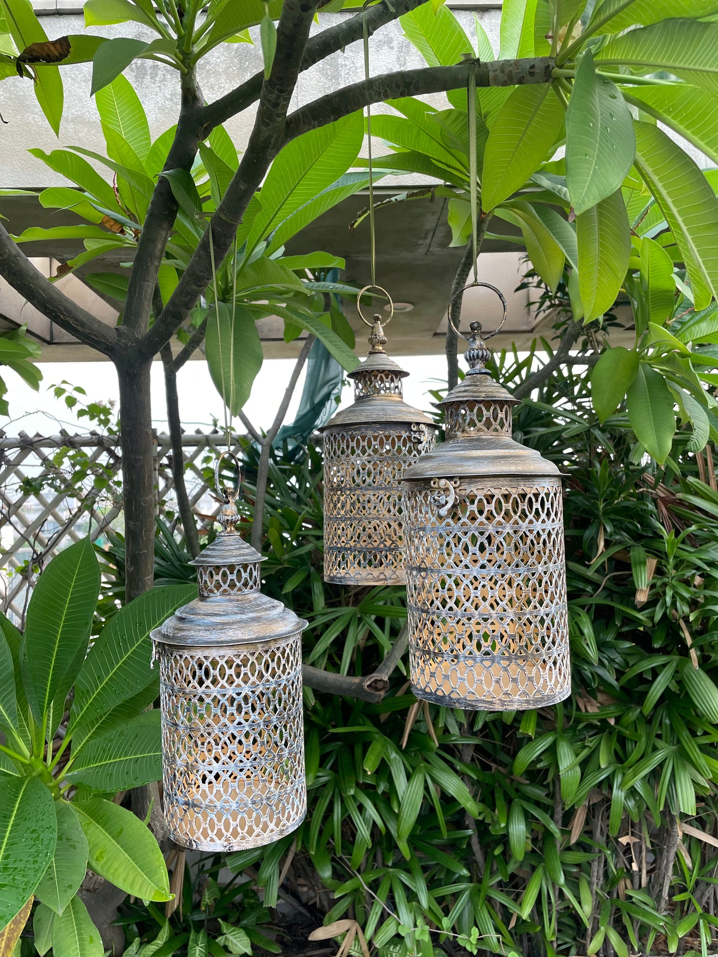 Brass Jaali Lantern