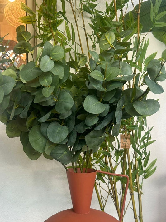 Eucalyptus Stems